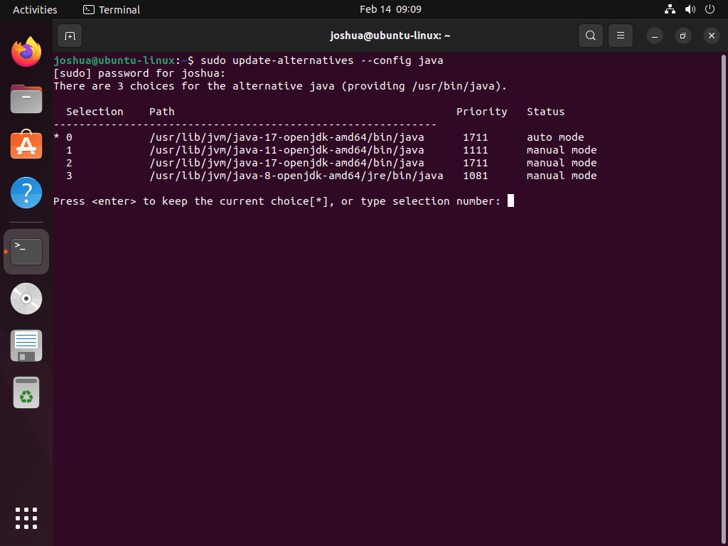 OpenJDK versions listed in the terminal when switching the default version on Ubuntu Linux.