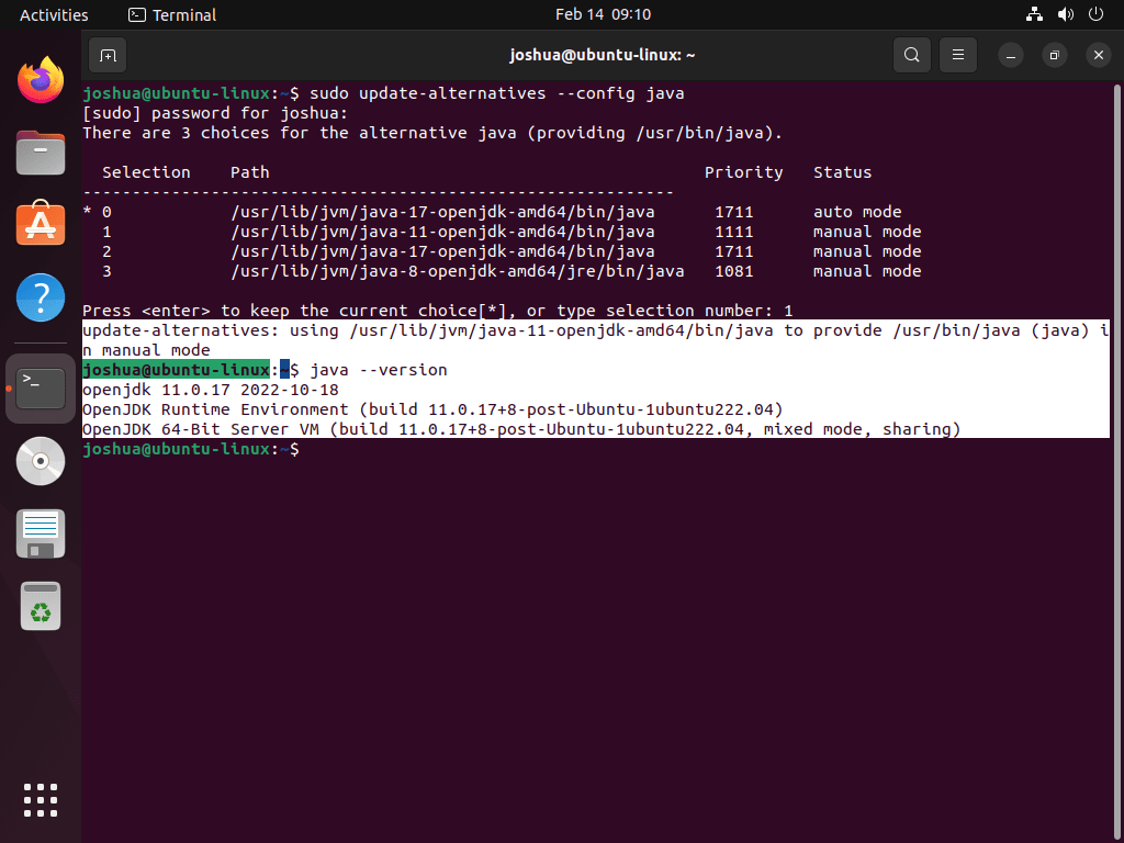 Terminal output verifying the successful manual installation of OpenJDK 17 on Ubuntu Linux.