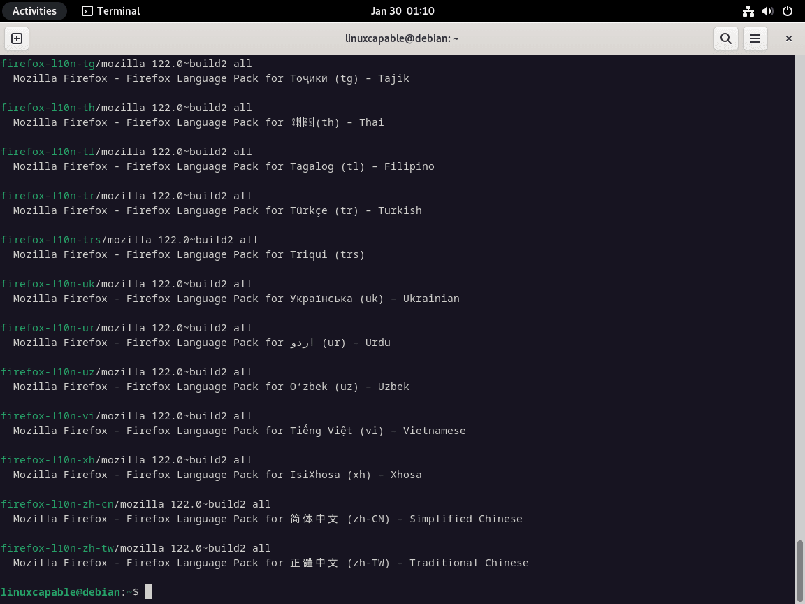 Terminal mostrando pacotes de idiomas disponíveis do Firefox no Debian.
