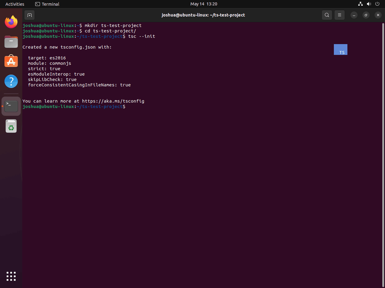 Init command with TypeScript on Ubuntu Linux