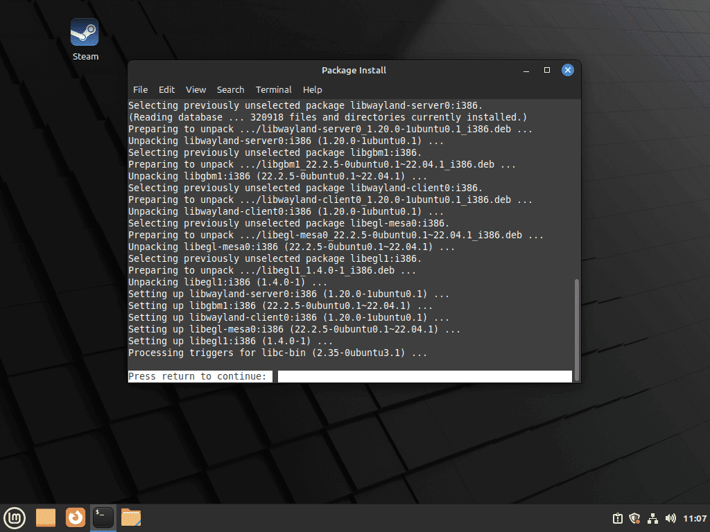 Second installation prompt on Linux Mint terminal