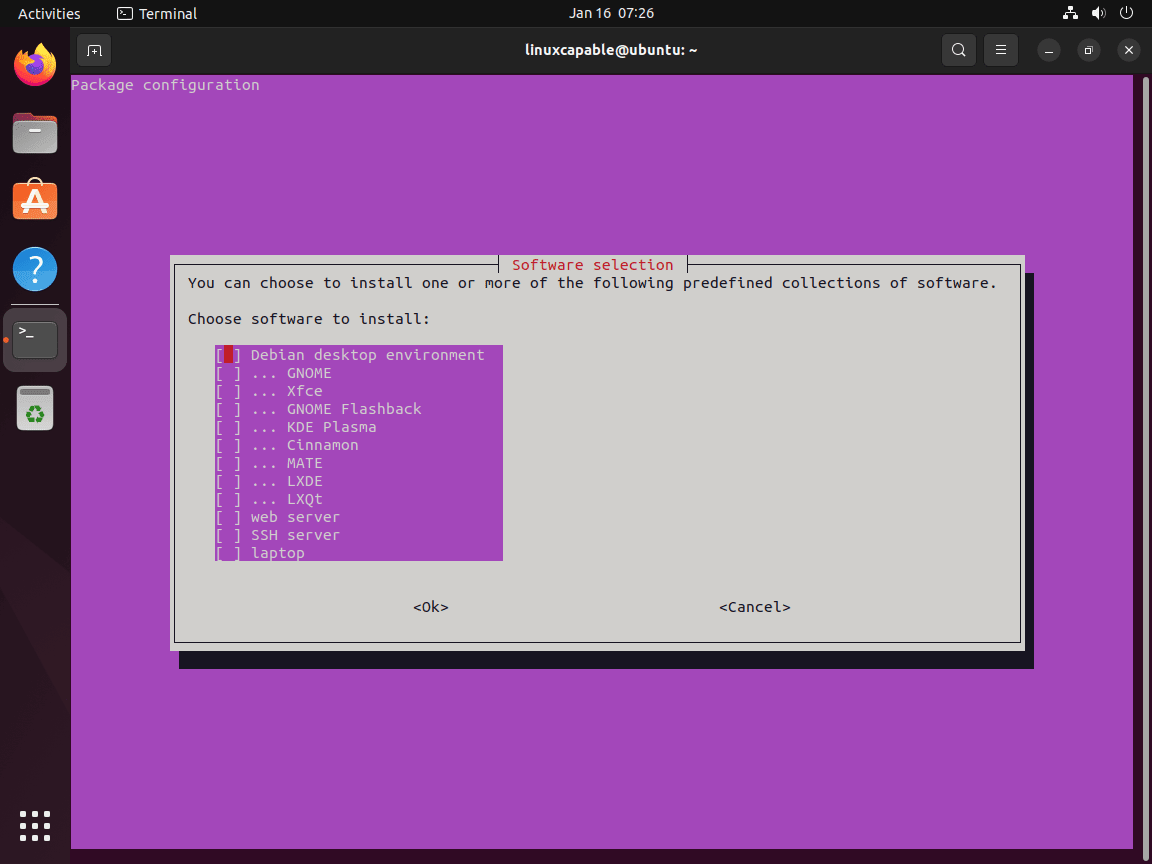 Tasksel test prompt to verify functionality on Ubuntu Linux