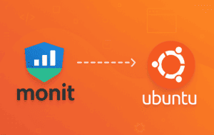 Monit logo with Ubuntu logo showing server monitoring installation process