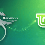 XanMod Kernel dragon logo next to Linux Mint logo on green background