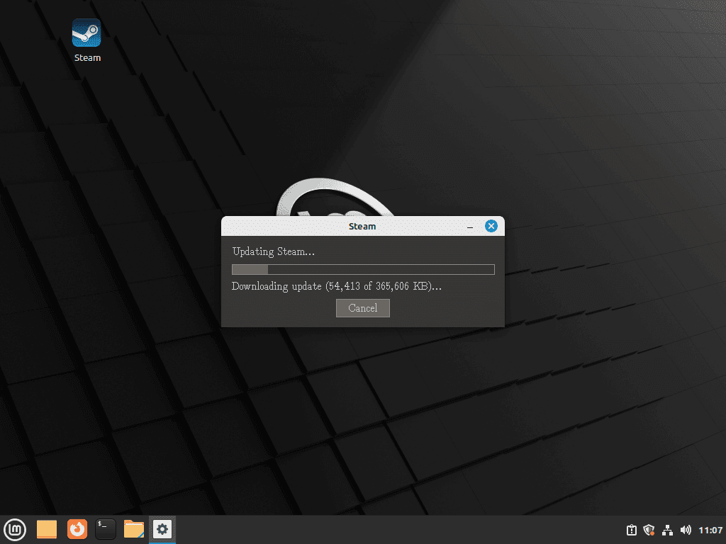 Steam application self-updating and downloading files on Linux Mint