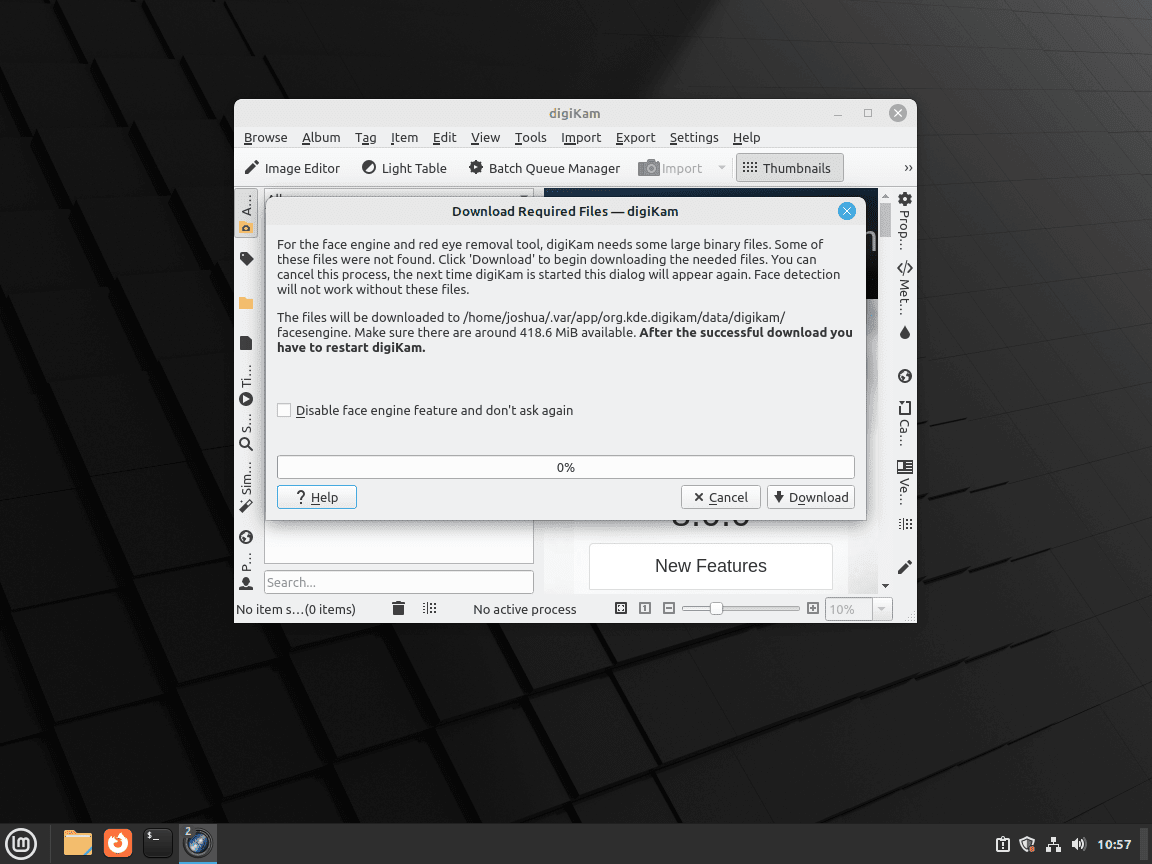 Downloading required files for first-time launch of DigiKam on Linux Mint
