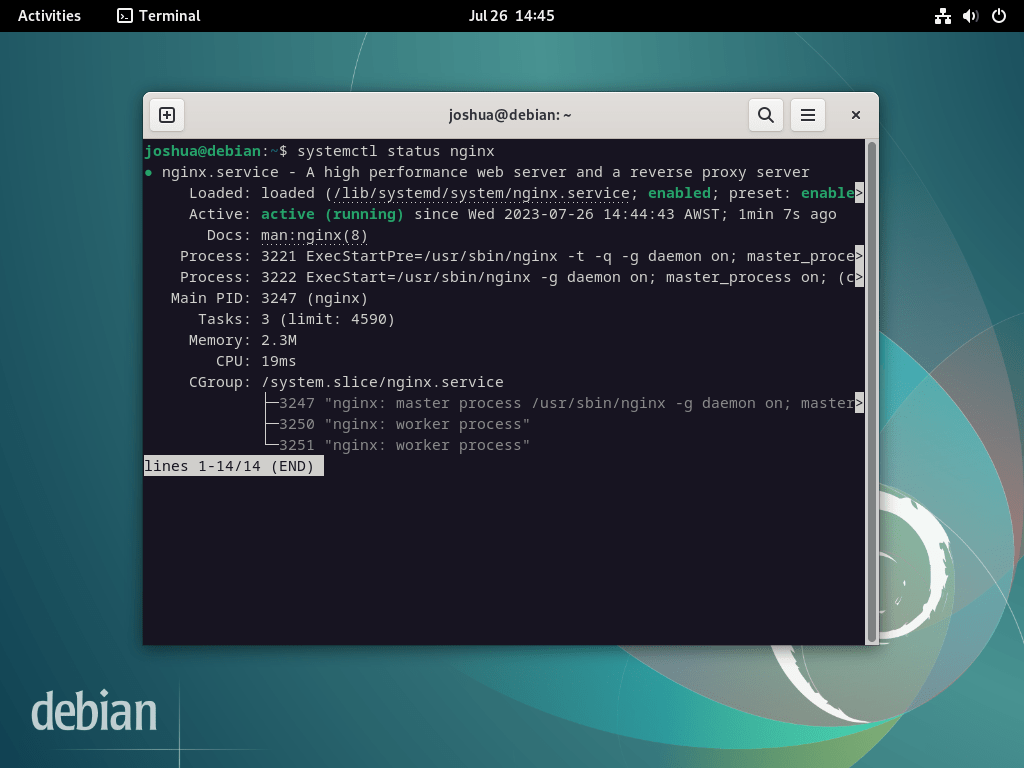 在 Debian Linux 上为 phpMyAdmin 安装 LEMP 期间的 Nginx 状态