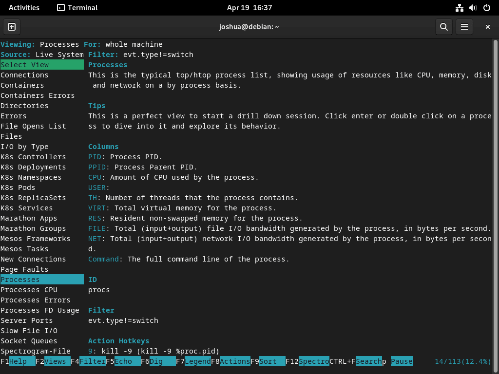 Exemple de menu de configuration Sysdig (F2) sur Debian Linux