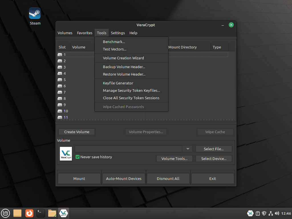 VeraCrypt uruchomiony i gotowy do użycia na pulpicie Linux Mint