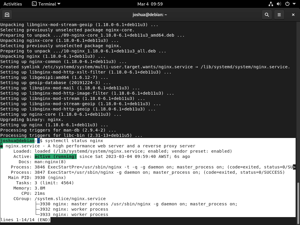 LEMP를 사용하여 Debian에 WordPress를 설치한 후 Nginx 상태 확인