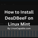 Step-by-step installation guide for DeaDBeeF on Linux Mint