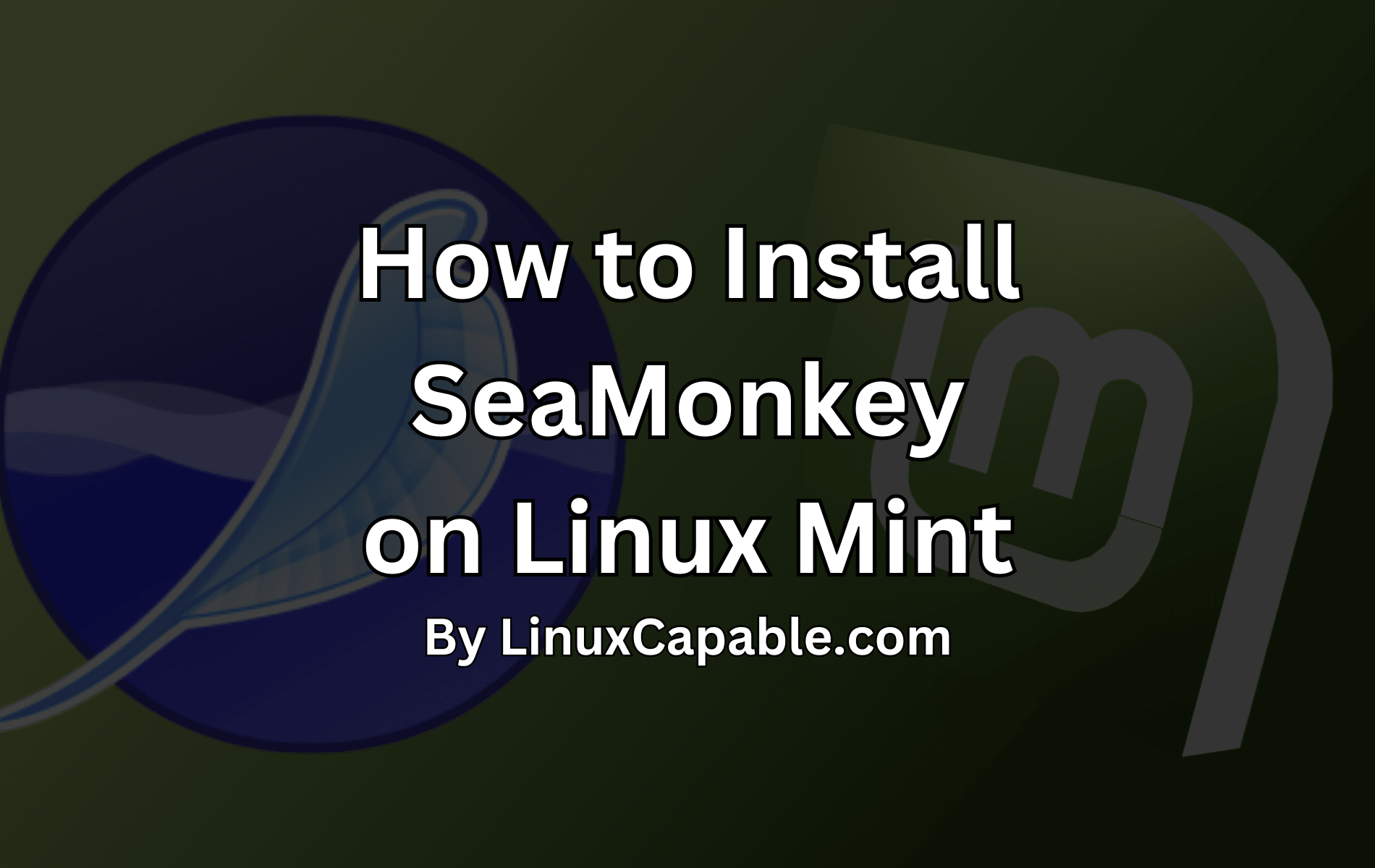 Installing SeaMonkey Internet Suite on Linux Mint step by step.