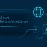 cURL command examples in Linux terminal showing data transfer and API requests