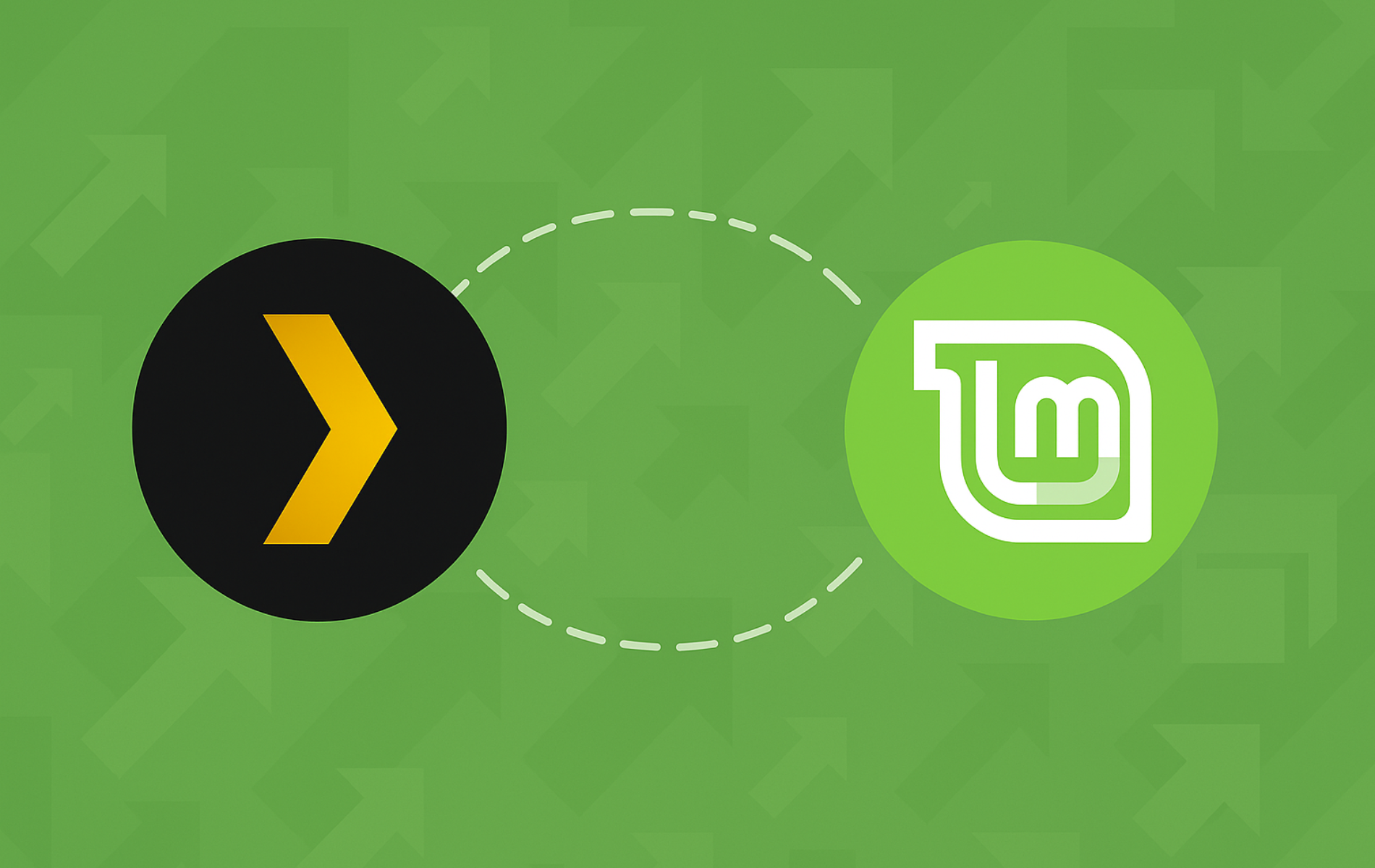 Plex Media Server and Linux Mint logos connected by dashed line on green background