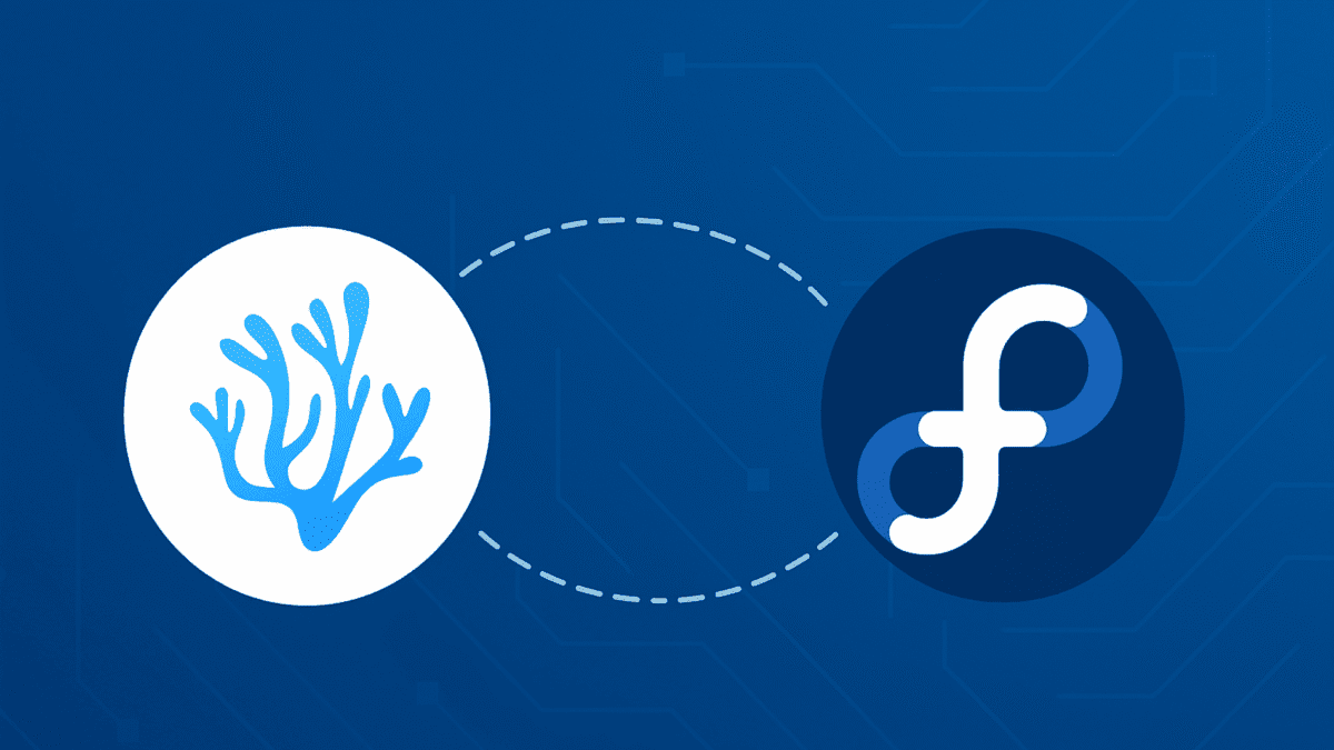 How to Install VSCodium on Fedora 44 - LinuxCapable