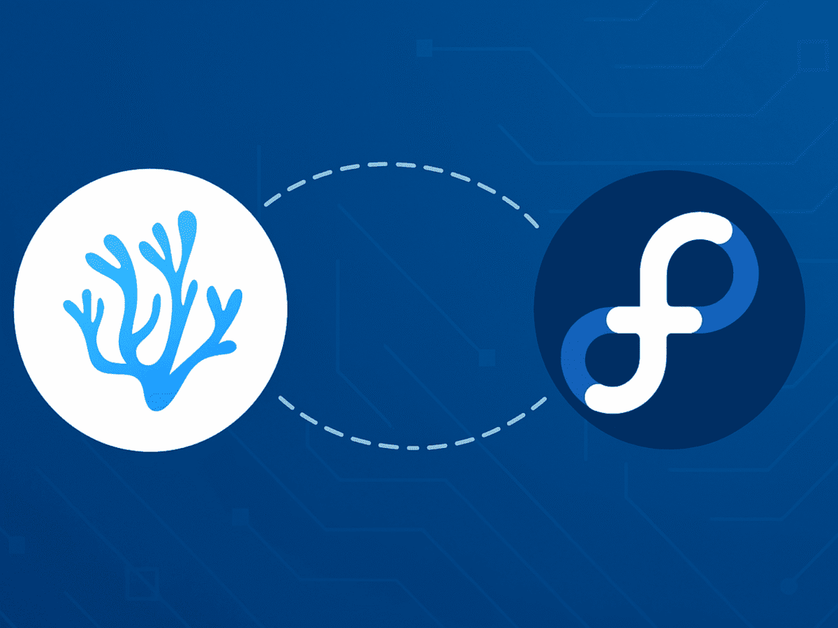 How to Install VSCodium on Fedora 44 - LinuxCapable
