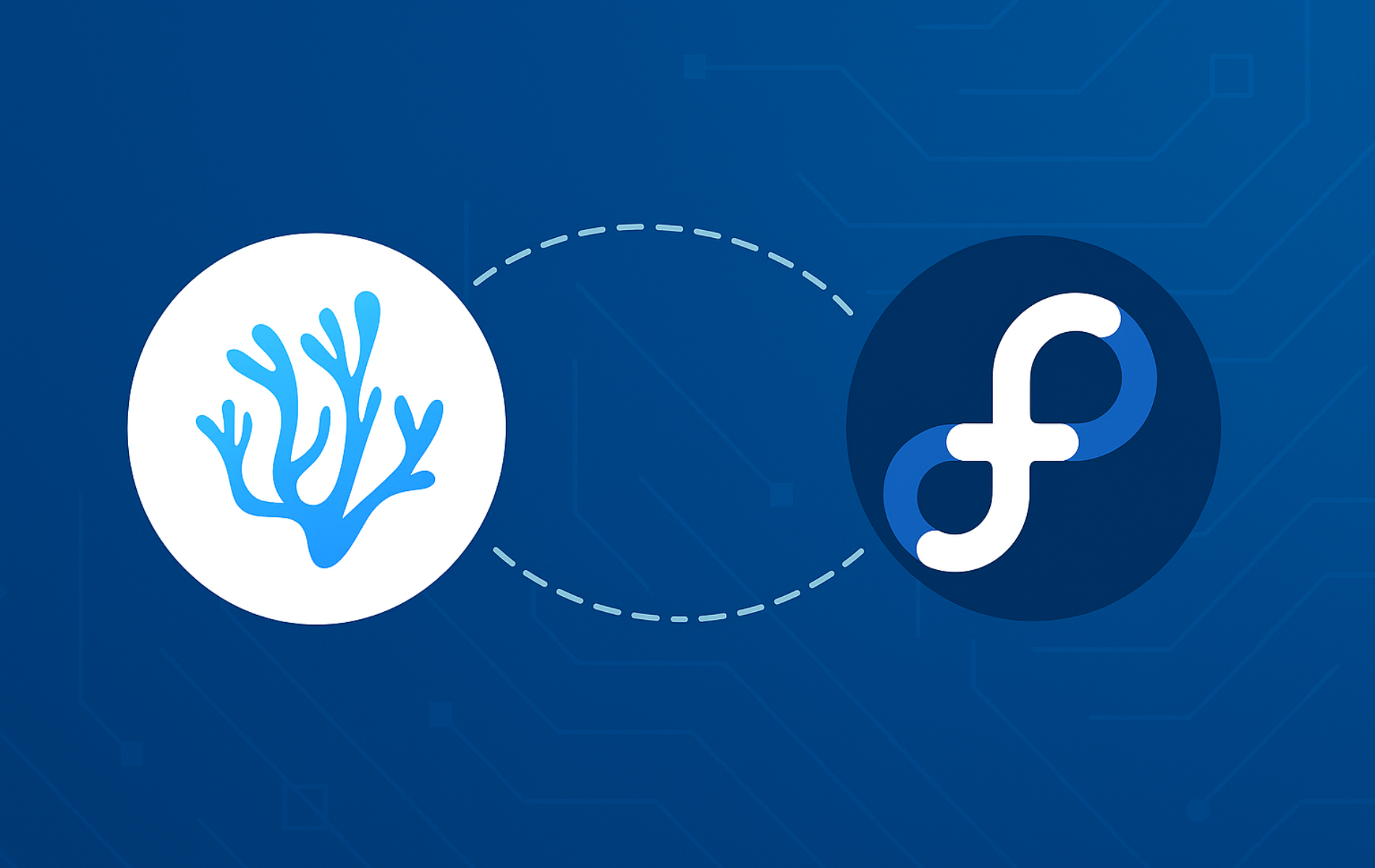 VSCodium installation graphic showing Flathub and Fedora logos connected on blue background