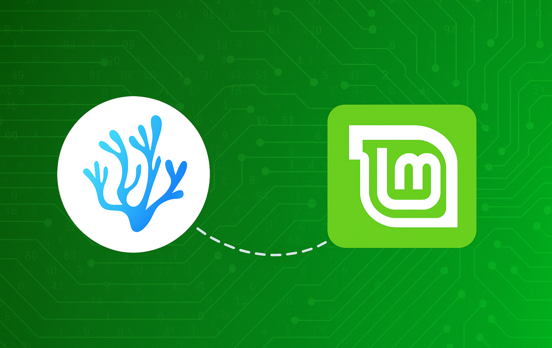 VSCodium and Linux Mint logos connected with dashed line on dark green circuit board background