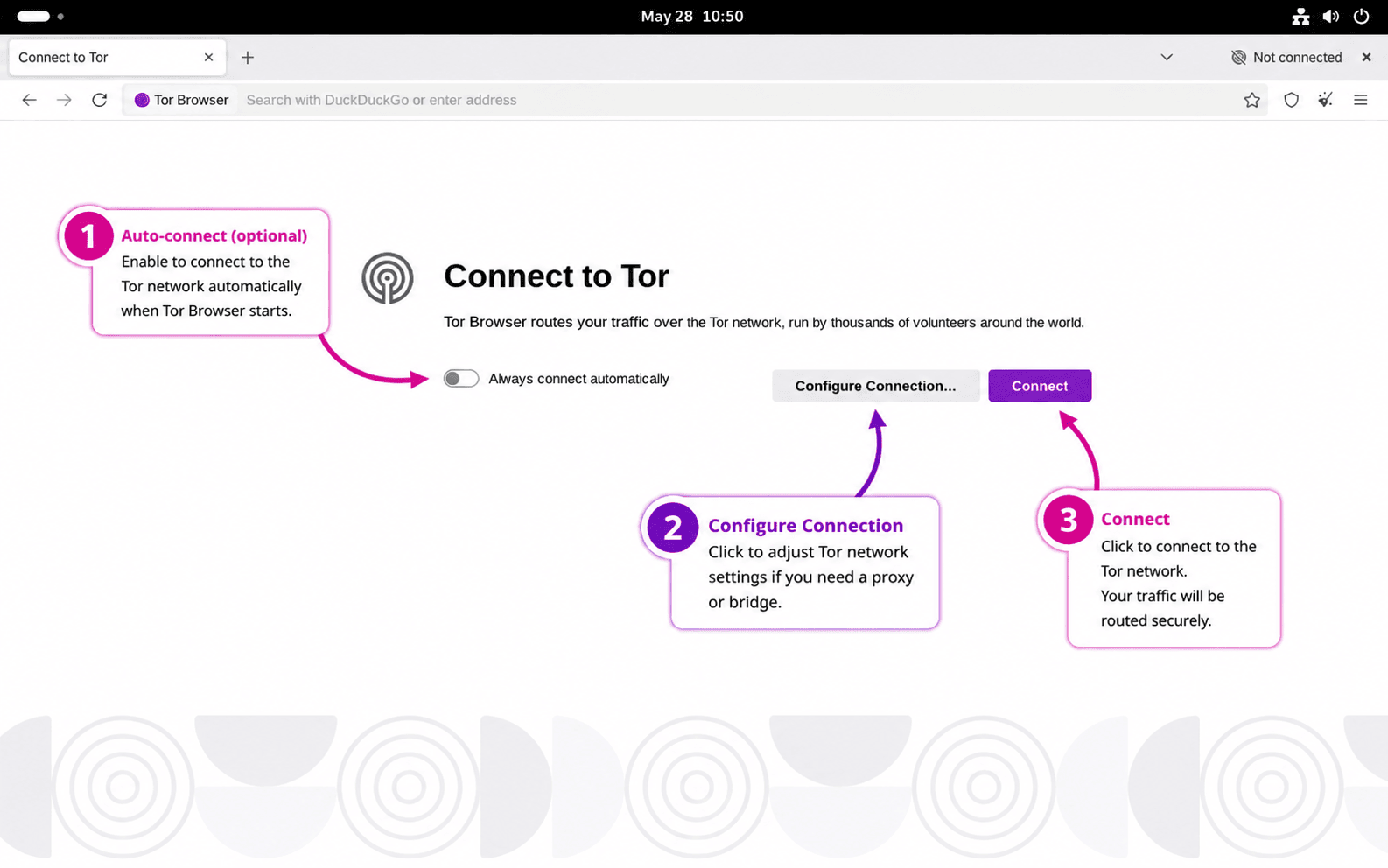 Tor Browser connection controls for automatic connection, proxy settings, and Connect
