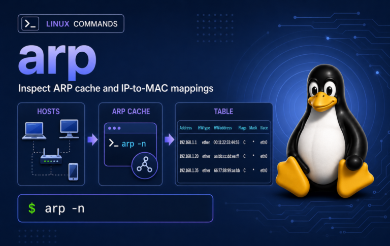 Linux arp command image showing ARP cache flow, arp -n output, and IP-to-MAC mappings