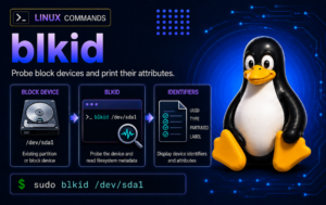 blkid command graphic showing /dev/sda1, filesystem identifiers, and a Linux terminal example