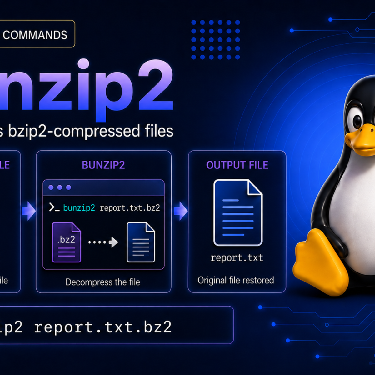 bunzip2 Command in Linux: Decompress .bz2 Files - LinuxCapable