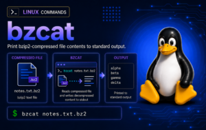 bzcat workflow showing a .bz2 file decoded to standard output on Linux