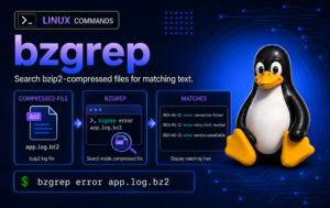 bzgrep command graphic showing a .bz2 log file searched for matching lines on Linux