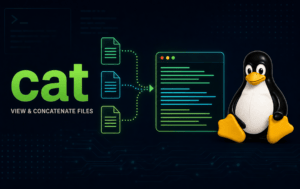 cat command graphic with file icons flowing into a terminal beside the Linux Tux mascot