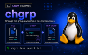 chgrp command graphic showing report.txt changing group ownership from users to devs on Linux