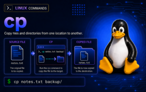 cp command graphic showing notes.txt copied into a backup directory with a Linux mascot and terminal example
