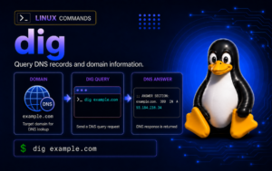 dig DNS lookup workflow showing a domain, query, and A record result