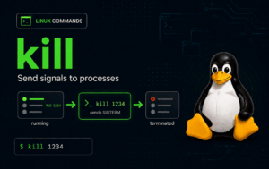 Linux kill command graphic showing SIGTERM stopping PID 1234 beside Tux