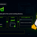 pwd command infographic showing directory context, terminal output, and Linux mascot
