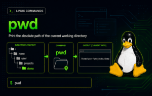 pwd command infographic showing directory context, terminal output, and Linux mascot