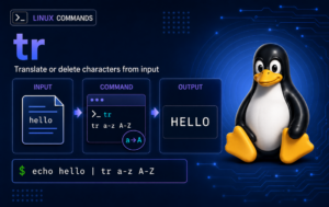 Linux tr command diagram showing input, command, output, and a terminal example