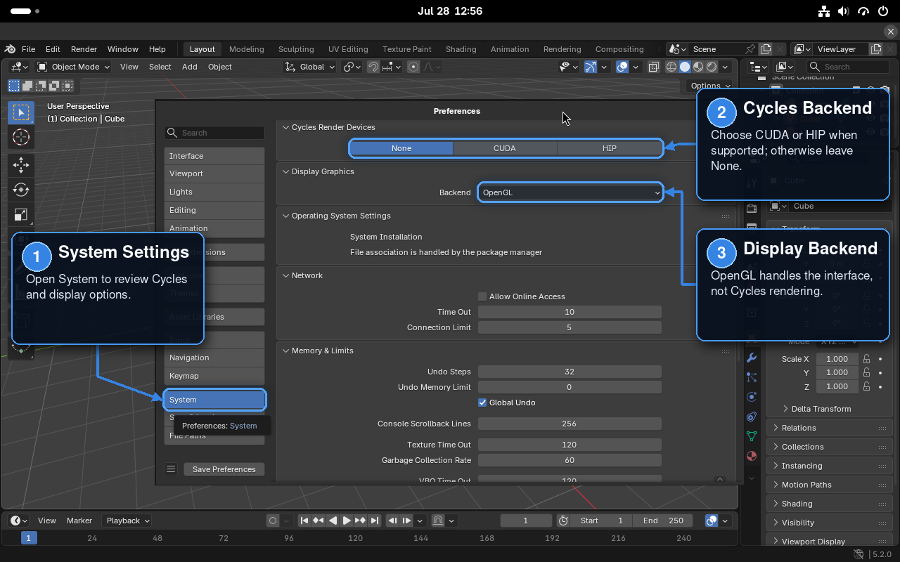 Blender System preferences showing Cycles backend and display graphics options