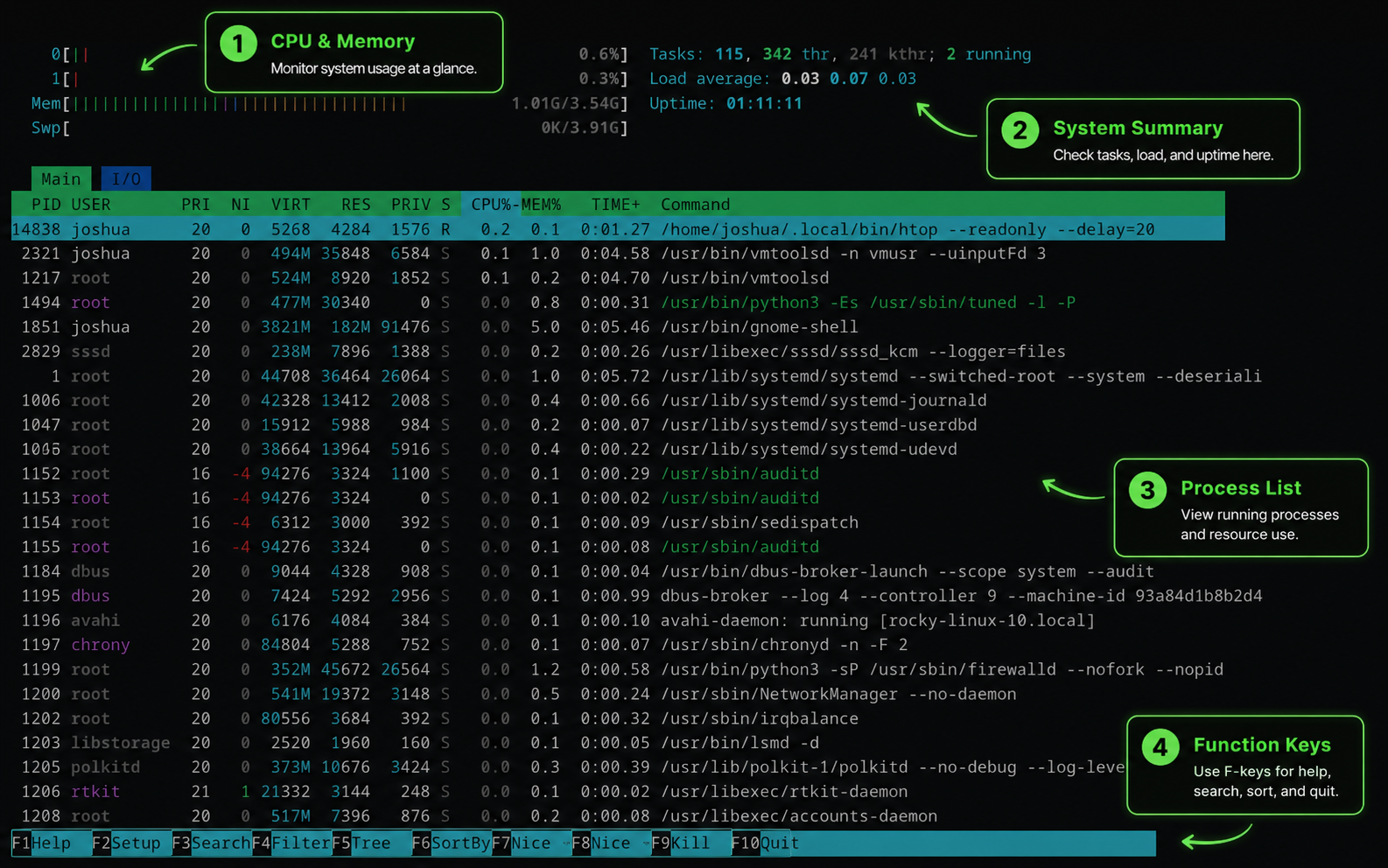 Annotated htop dashboard showing CPU, memory, system summary, process list, and function keys
