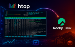 htop dashboard and Rocky Linux logo representing process monitoring on Rocky Linux